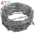 Price Meter Barbed Wire in Egypt Barb Wire Fence Roll